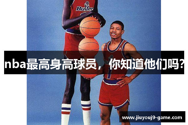 nba最高身高球员，你知道他们吗？